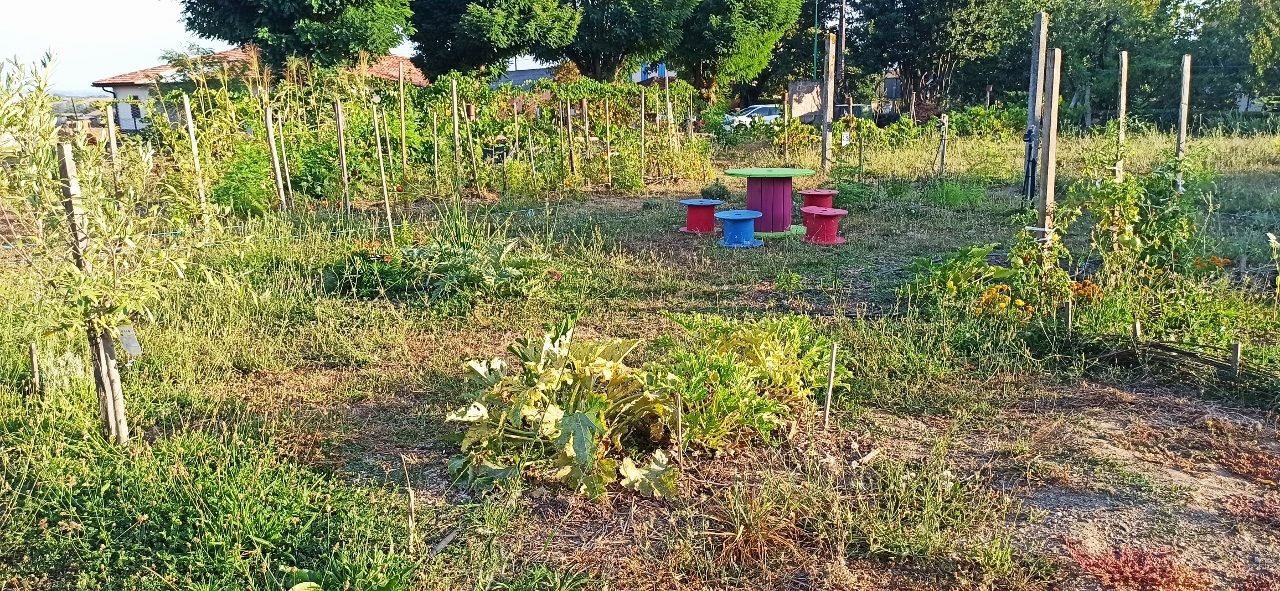 Rencontres au jardin de Louinou le 30 09 2023.