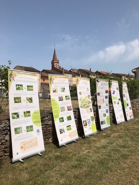 Journée de l'environnement Journée de l'environnement