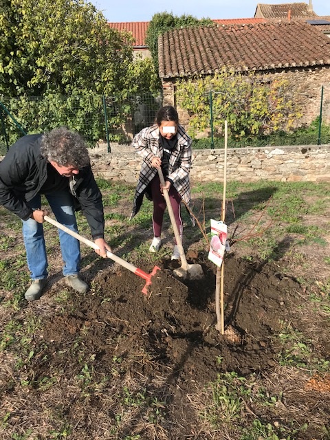 Des plantations au jardin participatif. Des plantations au jardin participatif.