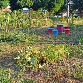 Rencontres au jardin de Louinou le 30 09 2023.