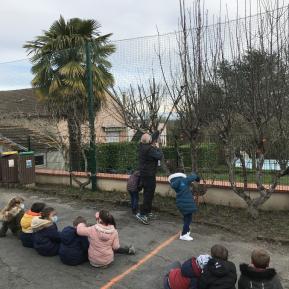 les élèves assistent à la taille d'arbres fruitiers