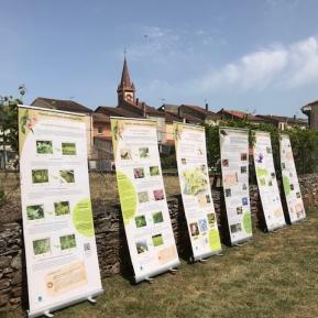 Journée de l'environnement
