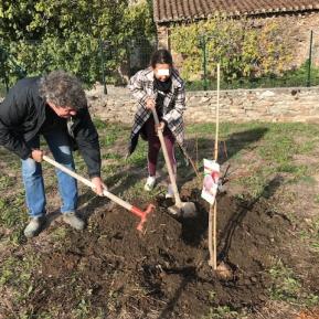 Des plantations au jardin participatif.